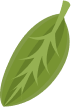 shape image